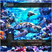 Marine (Arun K Remix) - Single - Richard McMaster & Rich Towers