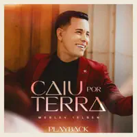Caiu por Terra — Wesley Ielsen
