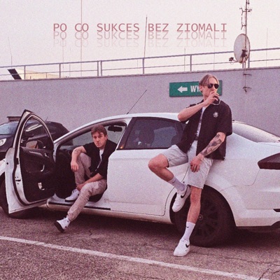 PO CO SUKCES BEZ ZIOMALI - Single