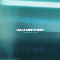 Halt mich fest (MELOPHANTS Remix) - Single - DROWSY CAL & Maik Wollherr