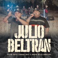 Julio Beltrán - Single - Pityn Toys, Gordo Arce & Grupo Delta Norteño