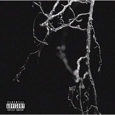 Slim brothers - FBlock K
