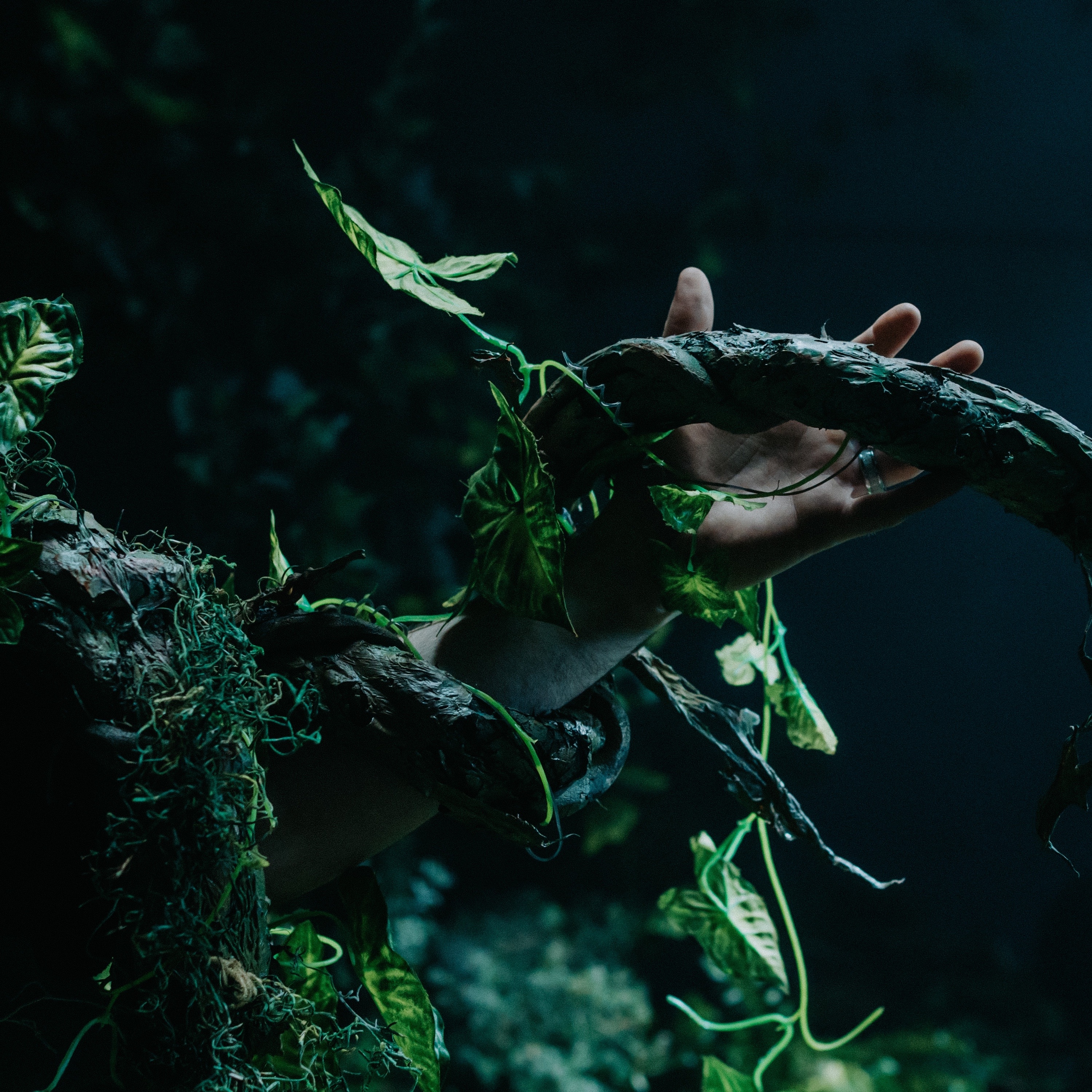 Stray Kids - ESCAPE (?? & ??)