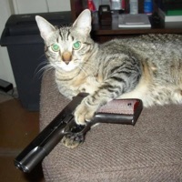 Do the Most - Single - PRETTY NICKY