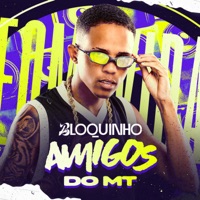 Bloquinho Amigos do Mt - Single - É O MT