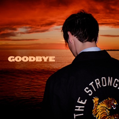 GOODBYE - Single