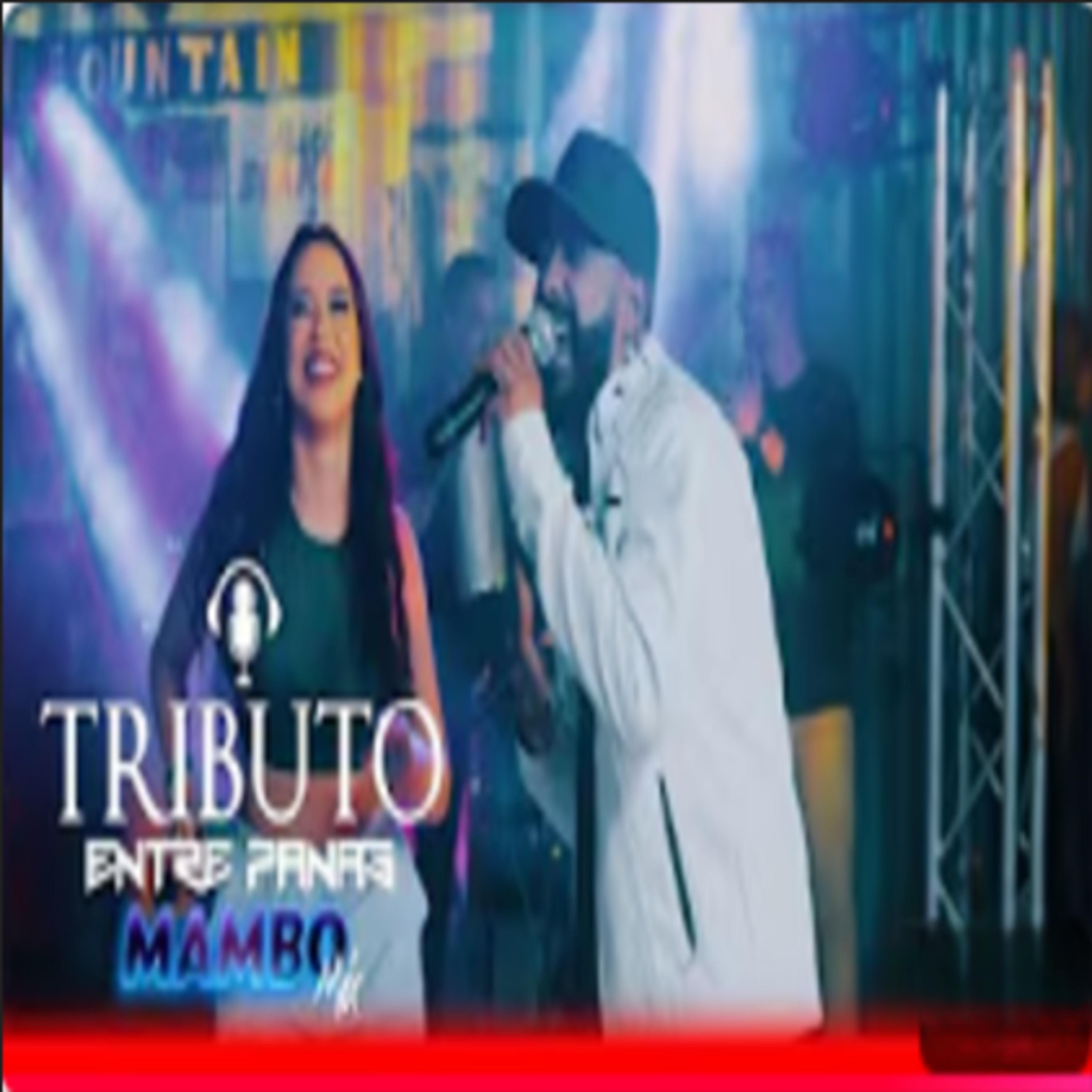 Tributo Entre Panas Mambo Mix - EP