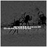 Sensitive - Single - Valhallium