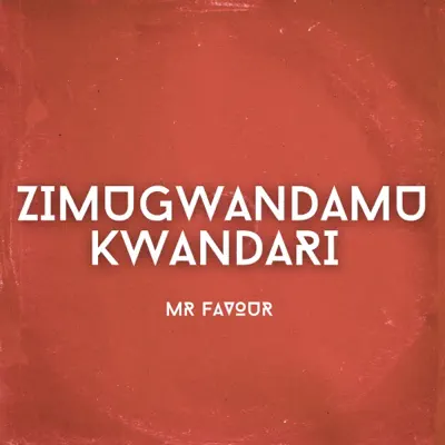 Mr. Favour adlı sanatçının Zimugwandamukwandari albümünü dinle