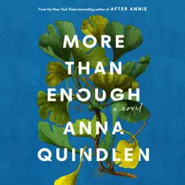 More Than Enough: A Novel (Unabridged)