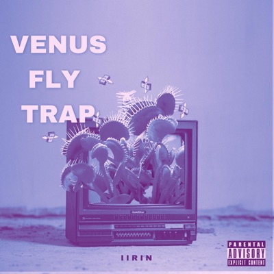 VENUS FLY TRAP - Single