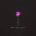 Where Does It Grow