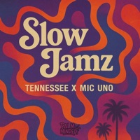 SLOW JAMZ (Shoot My Shot) (feat. MIC UNO & Tennessee!) - Single - Gold Laced Productions