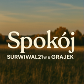 Spokój