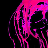 Rasputin