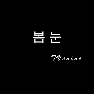봄눈