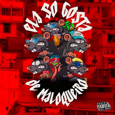 Ela Só Gosta de Maloqueiro (feat. BigStraik) - Single