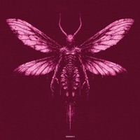 SONNE - Single - EsSimou