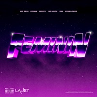 Feminin (feat. D14, Mr Luck, Mosty, King Lexus & Kpinw) - Single - Mr Behi