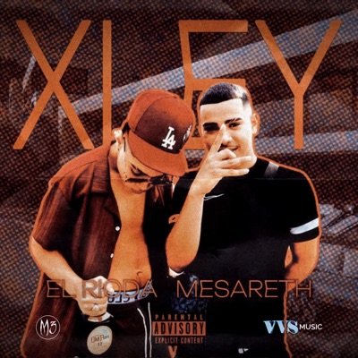 X Ley (feat. El Rioda, La Puta Connect & VVS Music) - Single