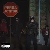 Perra Actitud (feat. Big Chriss & Draco Deville) - Single - Thigio