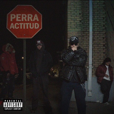 Perra Actitud (feat. Big Chriss & Draco Deville) - Single