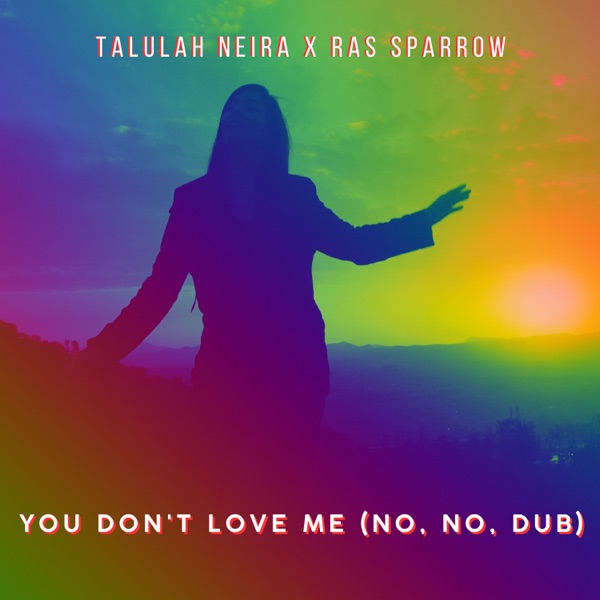 You Don't Love Me (No, No, Dub) [Cover]