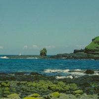 For Shuhada Sadaqat - Single - IIIA