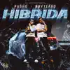 Pusho & Brytiago - Hibrida