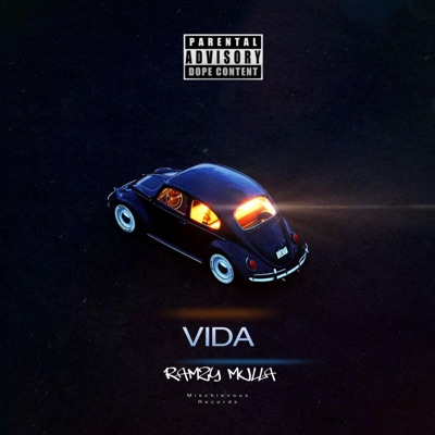 ViDa - Single