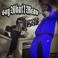 Say What I Mean (feat. KJPunk) - Single - Stanza Blade