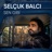 Sen Gibi
