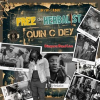 Free de Herbalist - Single - Quin C Dey