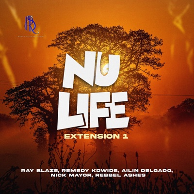 Nu Life Extension 1 (feat. Remedy Kdwide, Ailin Delgado, Nick Mayor & Rebbel Ashes) - Single