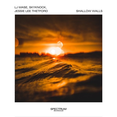 Shallow Walls - Single