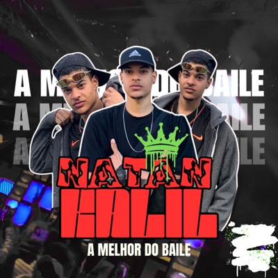A Melhor do Baile (feat. DJ Malicia) - Single