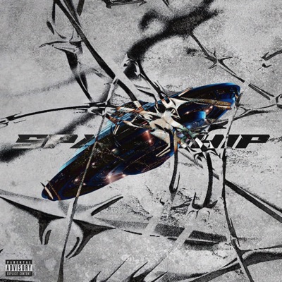 Spaceship - Single