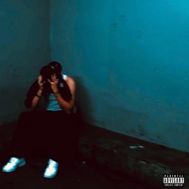 MINDOFMCFLY (intro) TAO$