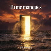 Tu me manques