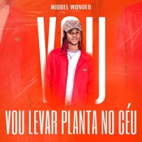 VOU LEVAR PLANTA NO CÉU (feat. Miguel Wonder) - Single - Dist Music AO