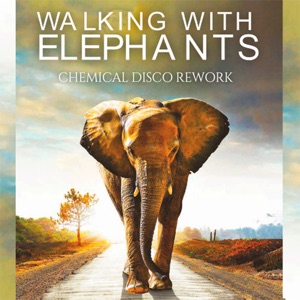 Walking with Elephants (Rework)