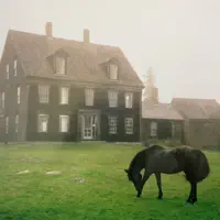 The Bed — Lutalo