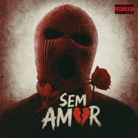 Sem Amor - Single - Mc Freiry & SAGAZ RN