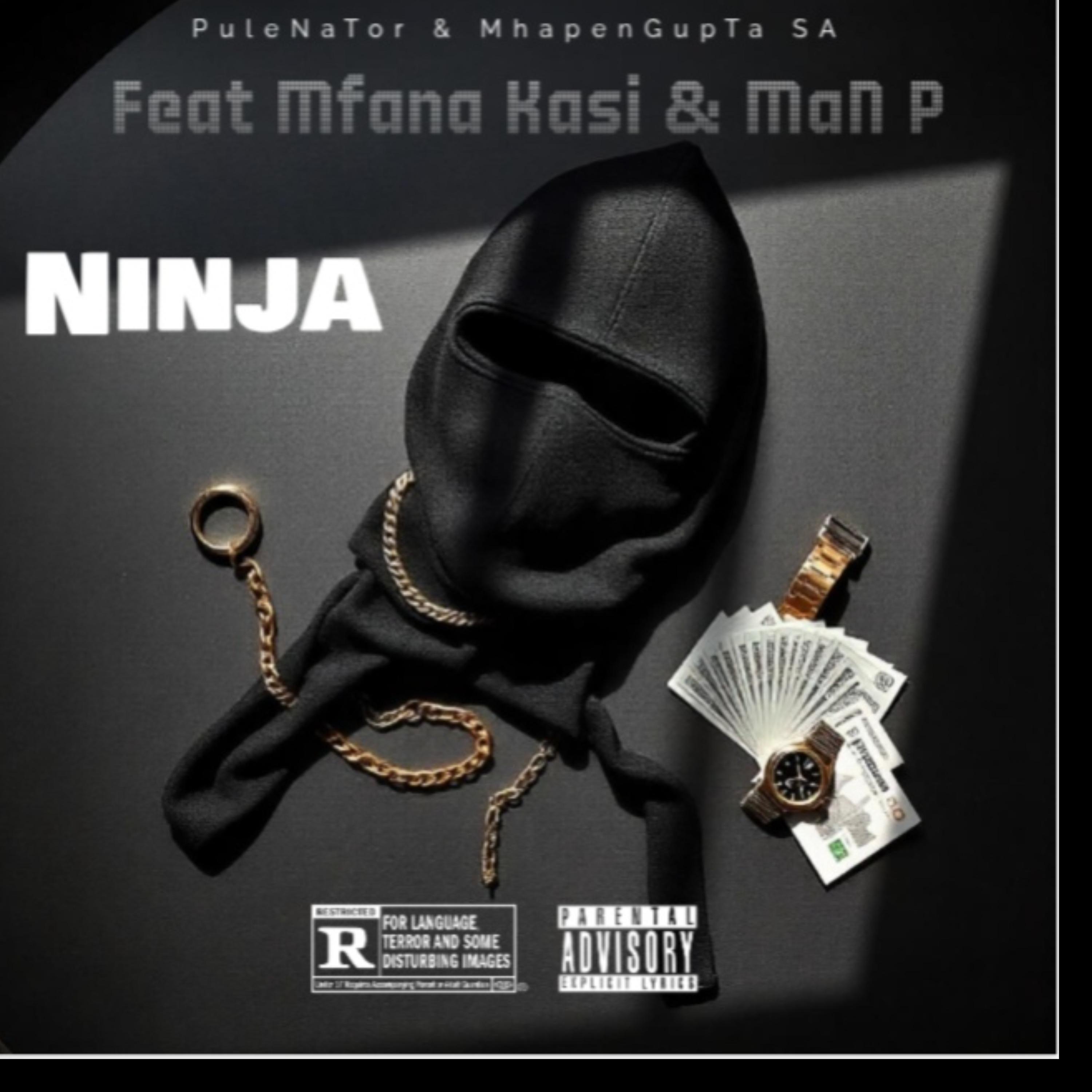 Ninja (feat. Mfana Kasi & ManP) - Single by PuleNaTor & MhapenGupTa Sa album cover