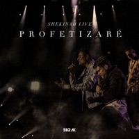 Profetizaré (feat. Marcos Brunet) - Single - Barak