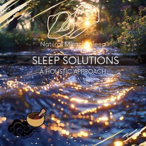 Sleep Solutions: a Holistic Approach