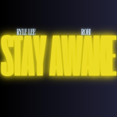 Stay Awake (feat. Robi) - Single