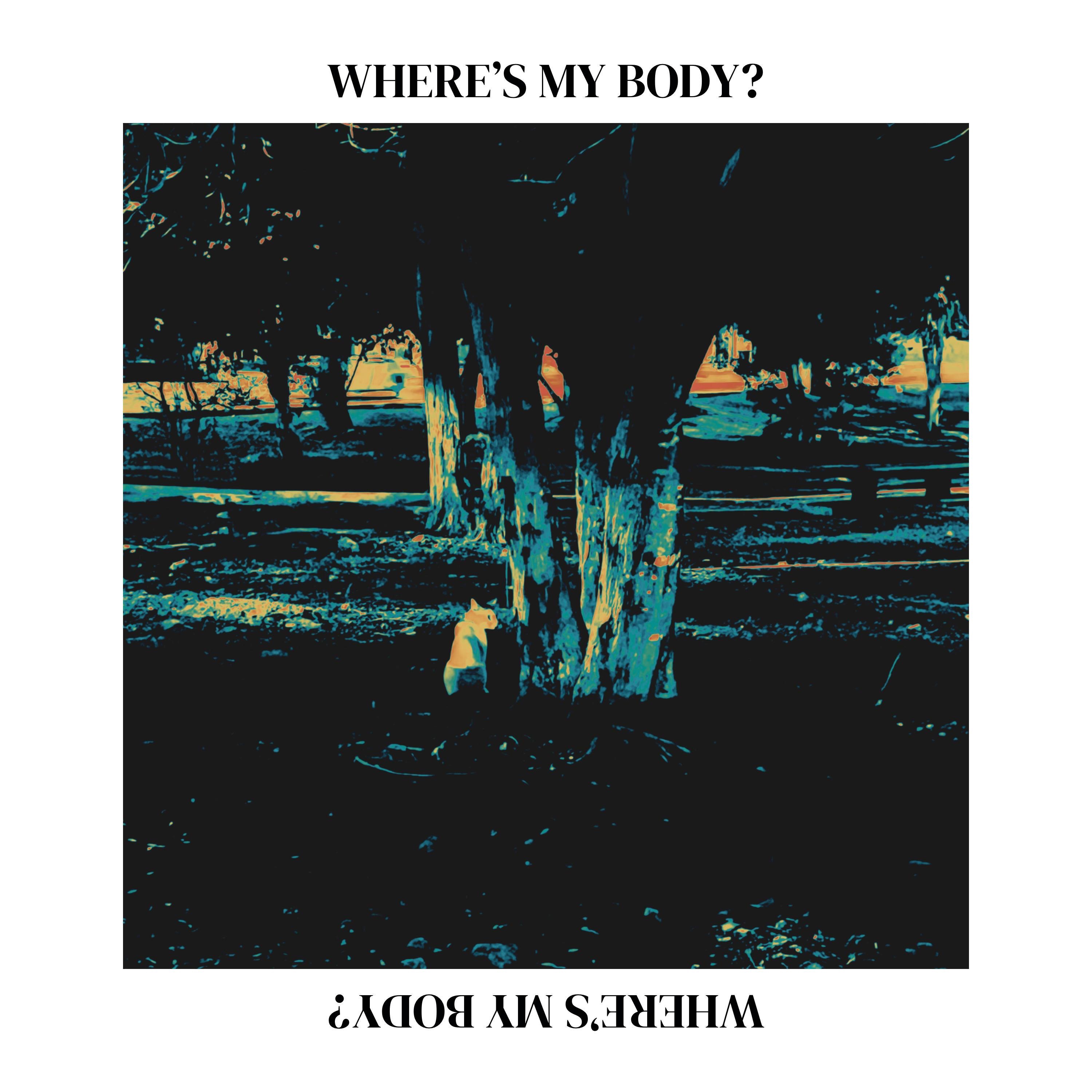 Where's My Body?