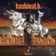 Kashinath Single