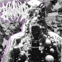 CURSE THY NAME - Single - TripDaMang